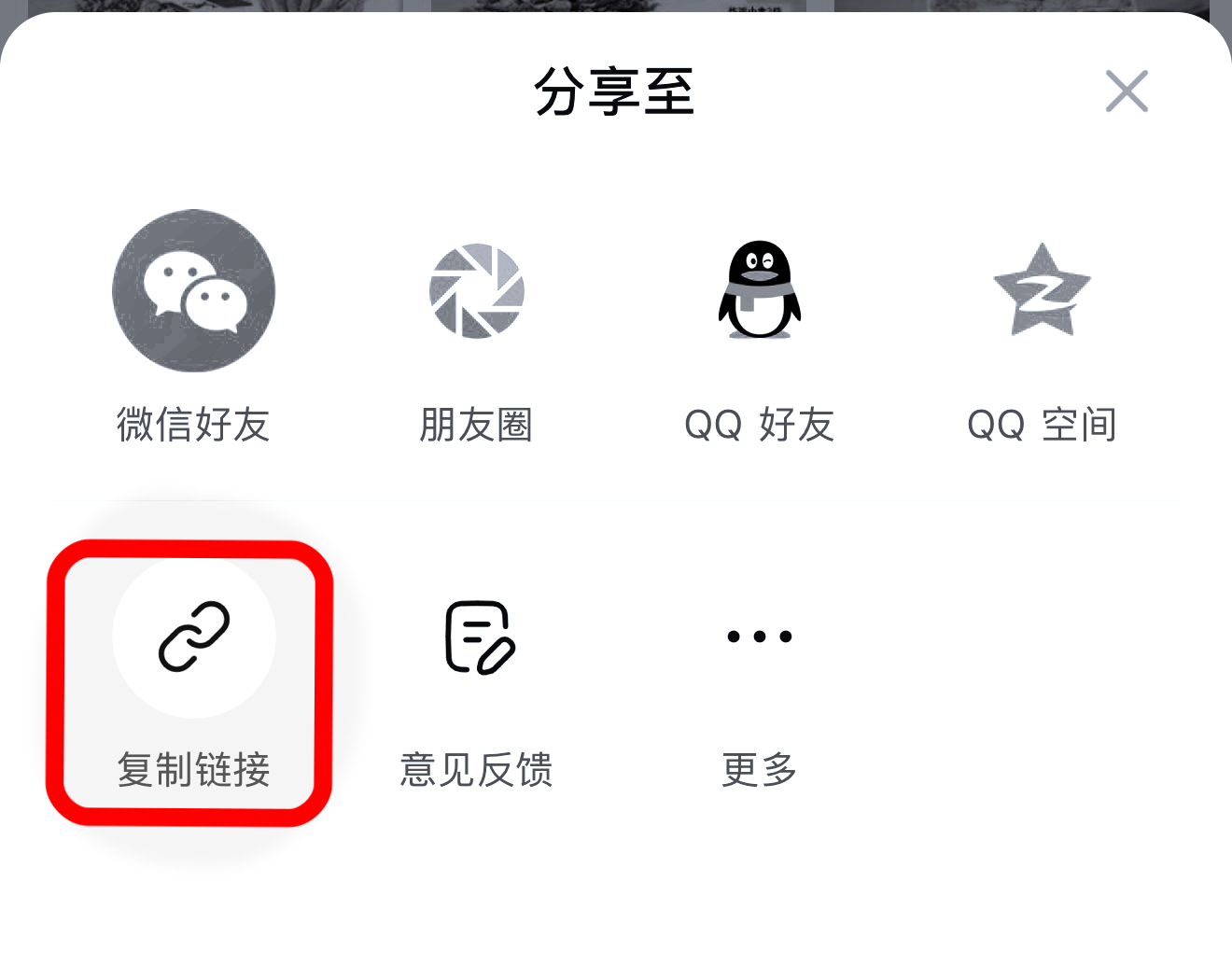 在分享弹窗选择复制链接